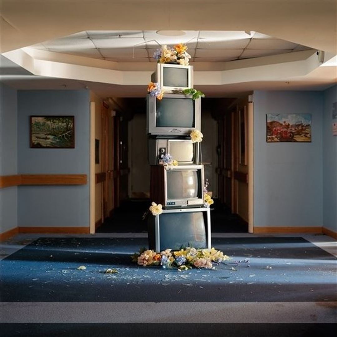 A Murmuration Of Capitalist Bees cover art