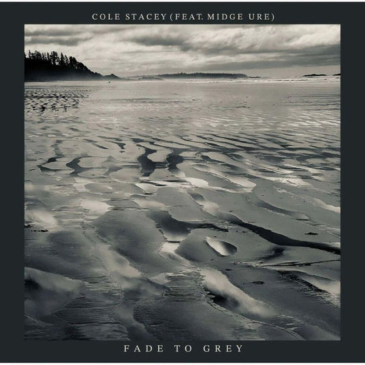Fade to Grey  cover art