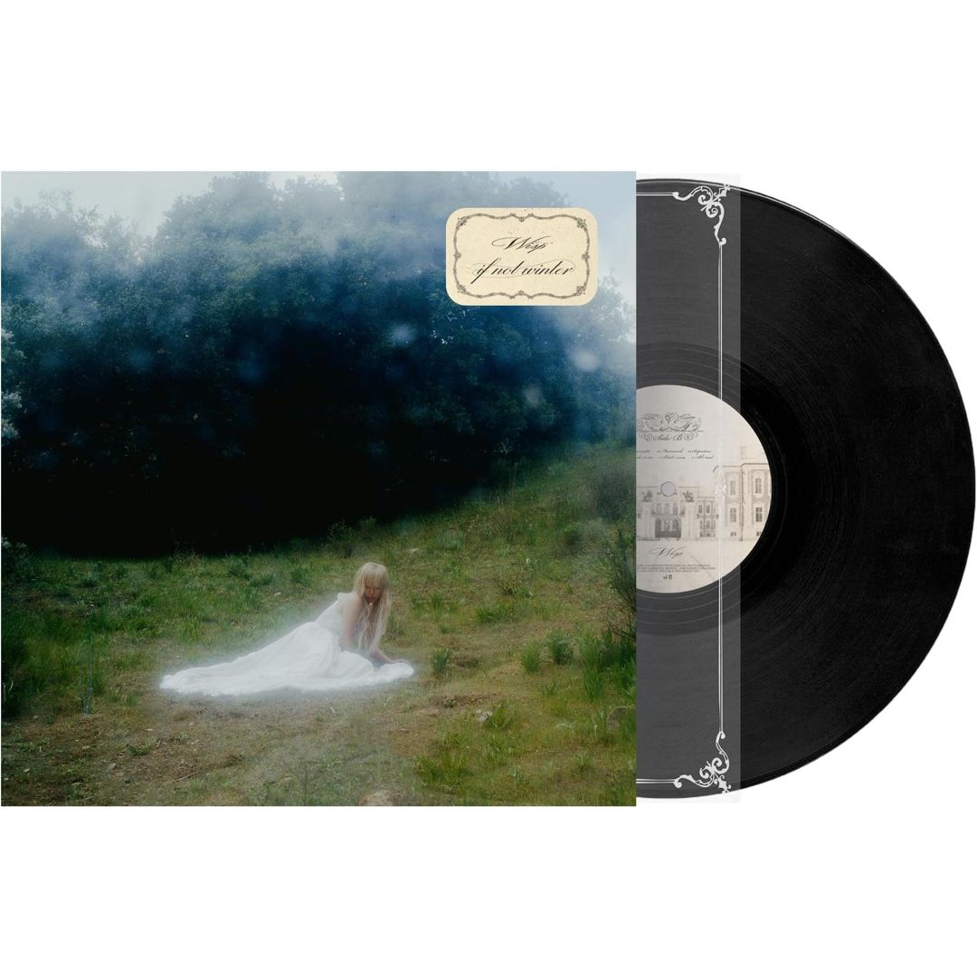 If Not Winter cover art