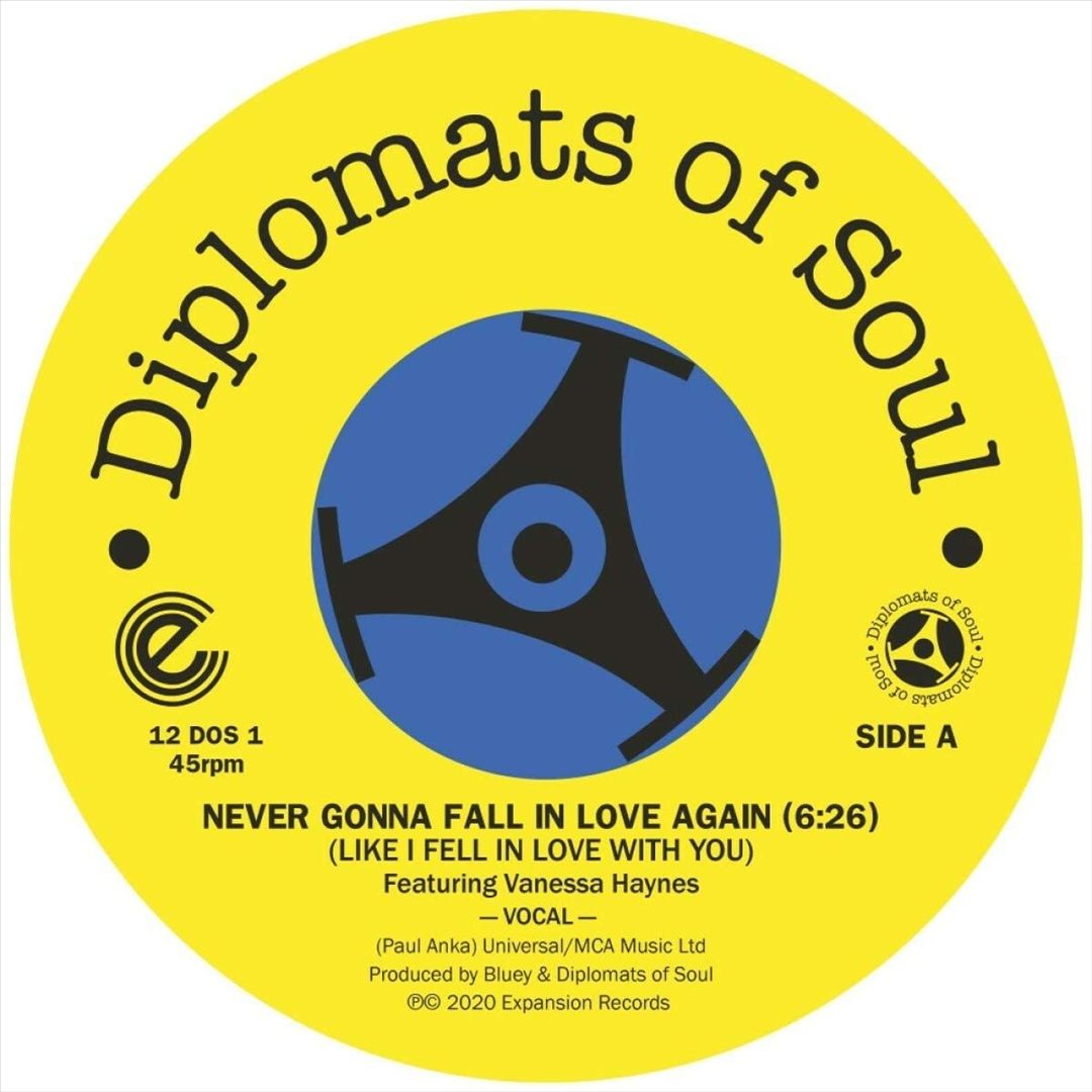 Never Gonna Fall in Love Again (Like I Fell in Love With You) cover art