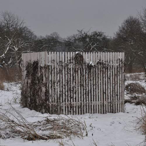 Light Mirror cover art