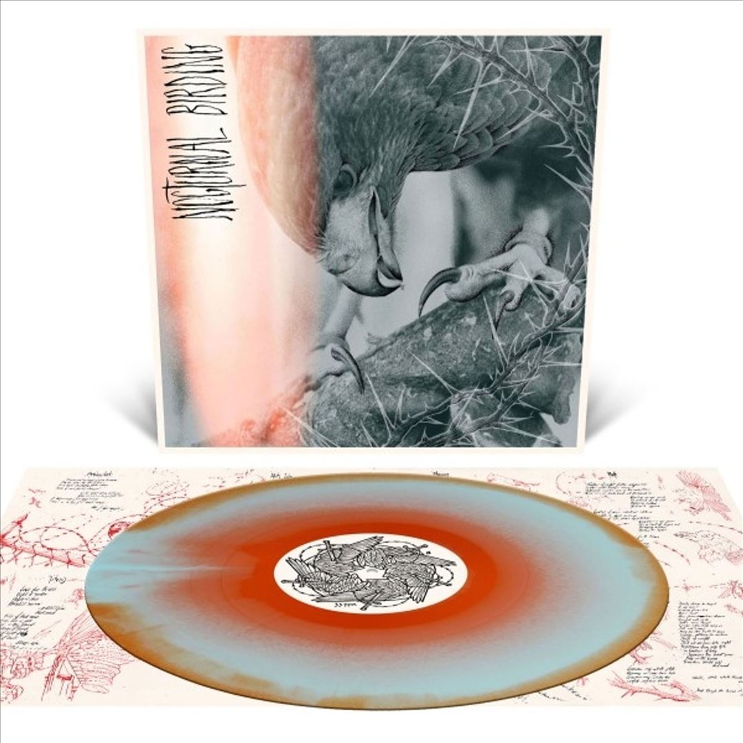 Nocturnal Birding cover art