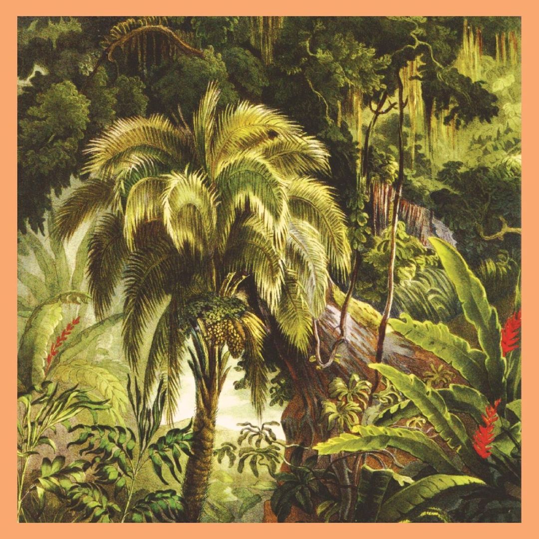 La Foret [Jade Eco-Mix Vinyl] cover art