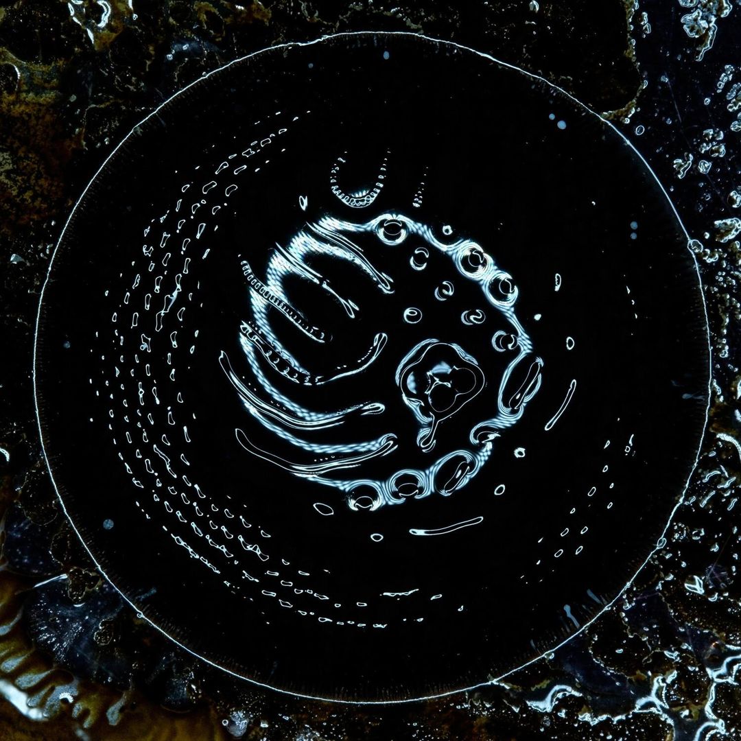 Stonus cover art