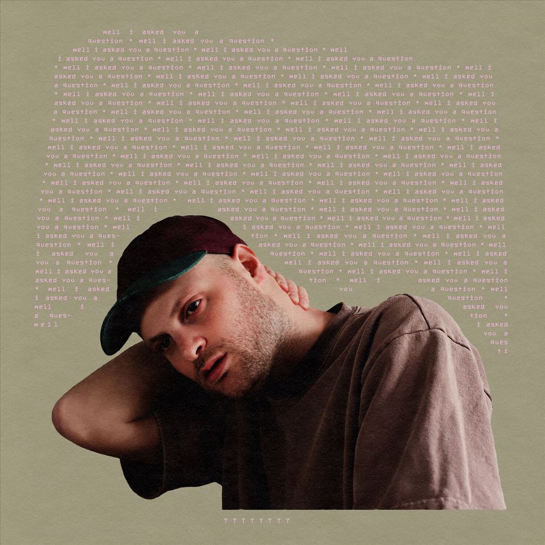 Well I Asked You a Question cover art