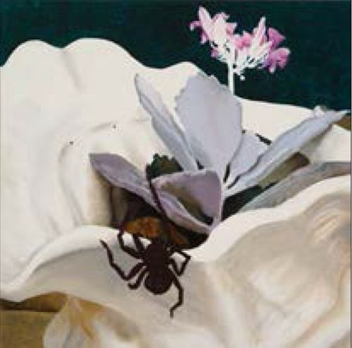 Awkwardly Blissing Out cover art