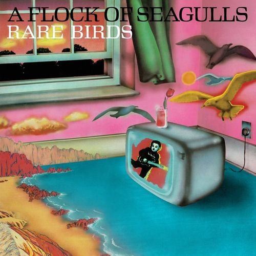 Rare Birds: 'A Flock of Seagulls' B-Sides cover art