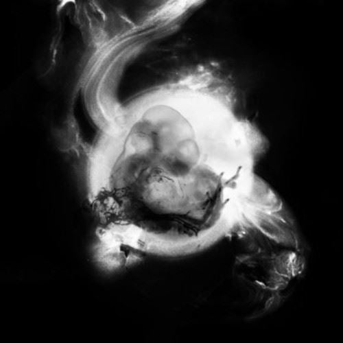 Saffronkeira cover art