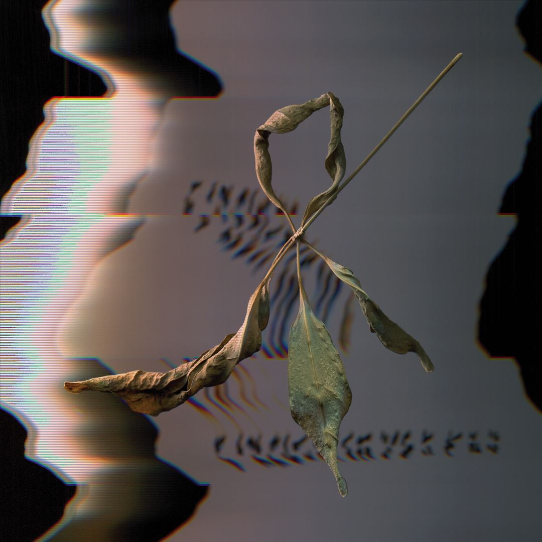 Trill Scan cover art