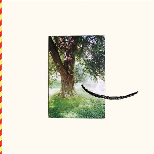 VVigmara cover art