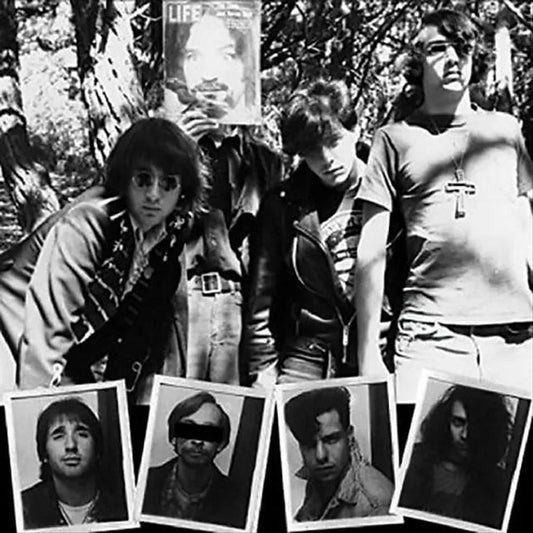 Lick It: The Psychedelic Years 1983-1986 [Limited Edition] cover art