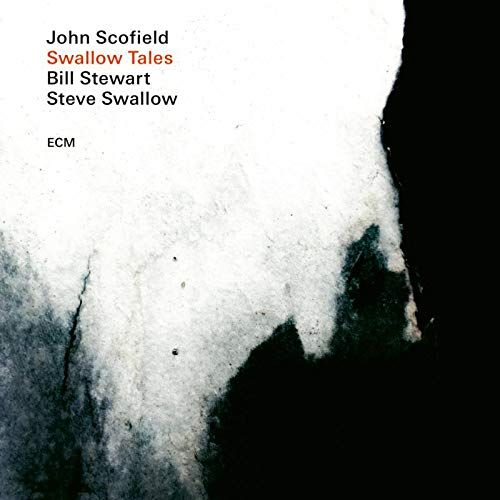 Swallow Tales cover art