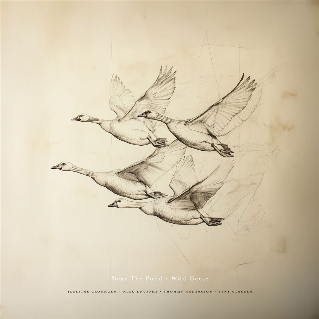 Wild Geese cover art