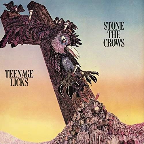 Teenage Licks cover art