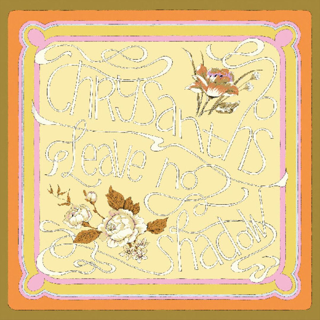 Leave No Shadow cover art