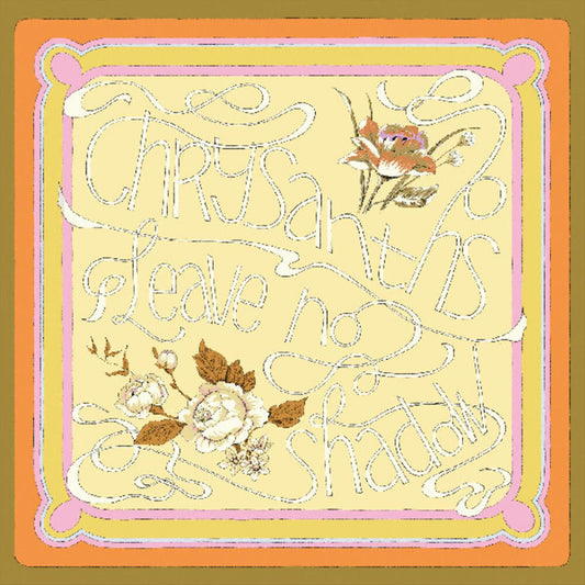 Leave No Shadow cover art