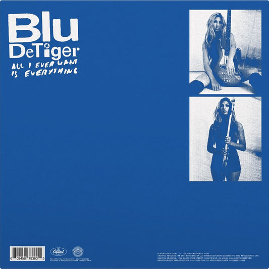 All I Ever Want Is Everything [Blue/White Marbled Vinyl] cover art