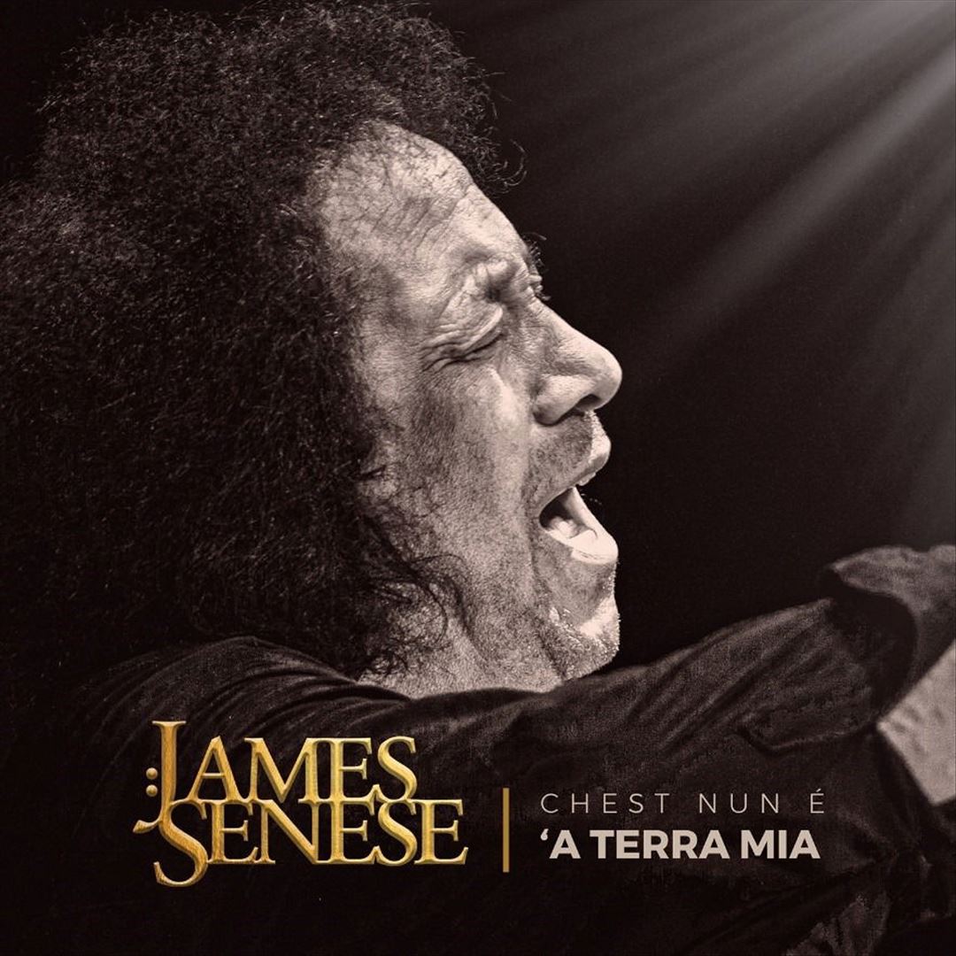 Chest Nun A A Terra Mia cover art