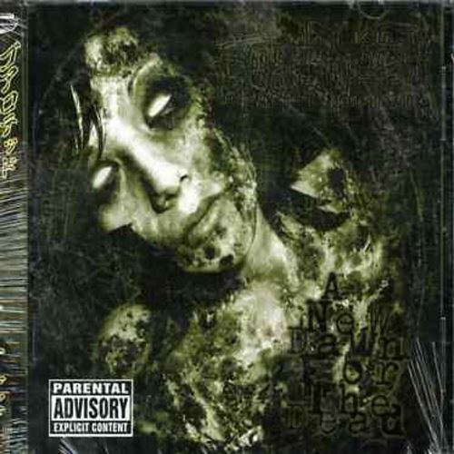 New Dawn for the Dead cover art