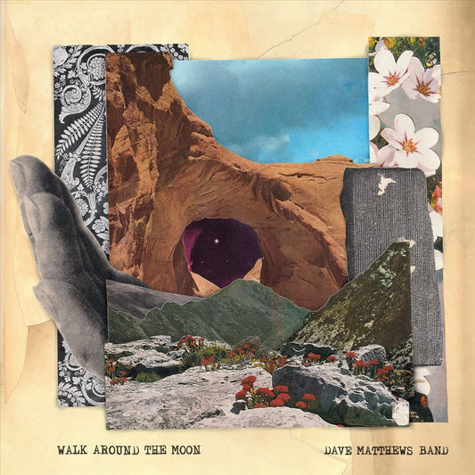 Walk Around the Moon cover art