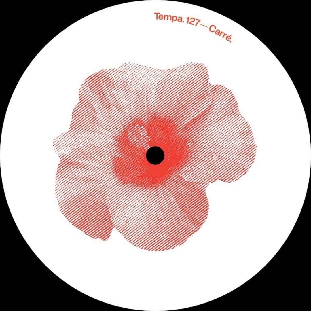 Hibiscus cover art