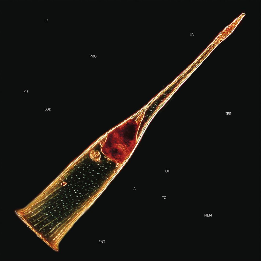 Melodies of Atonement [Translucent Red Vinyl] cover art