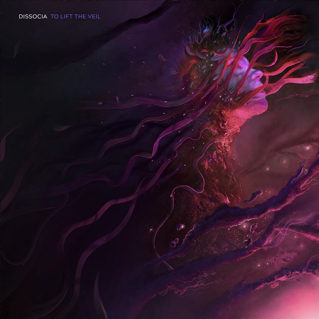 To Lift the Veil [Random Eco-Mix LP] cover art