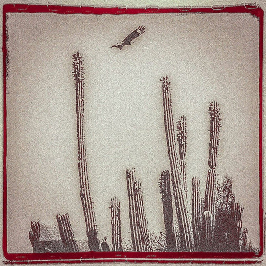 Cruzada cover art