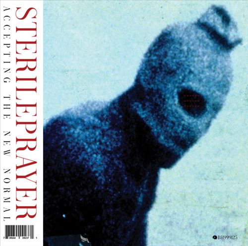 Accepting the New Normal cover art