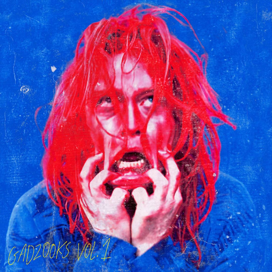 Gadzooks, Vol. 1 cover art