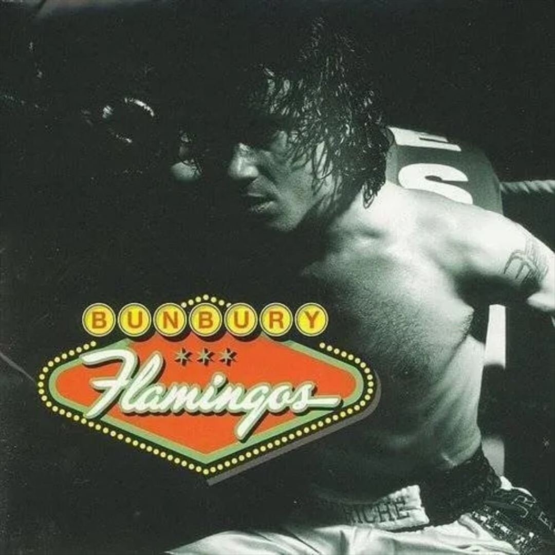 Flamingos cover art
