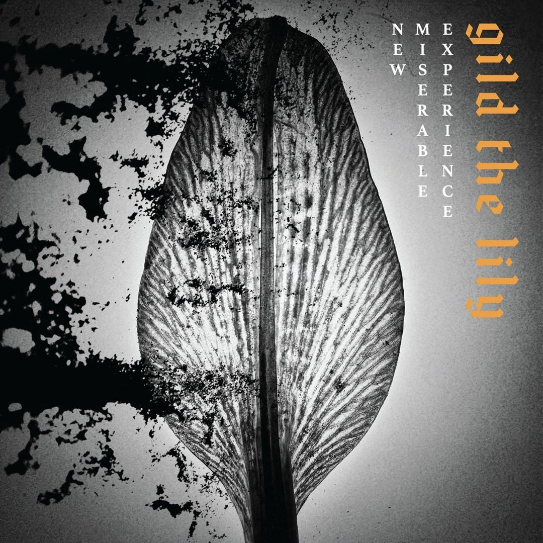 Gild the Lily cover art