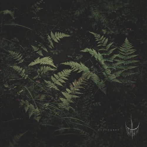 Pustotsvet (Voidflower) cover art
