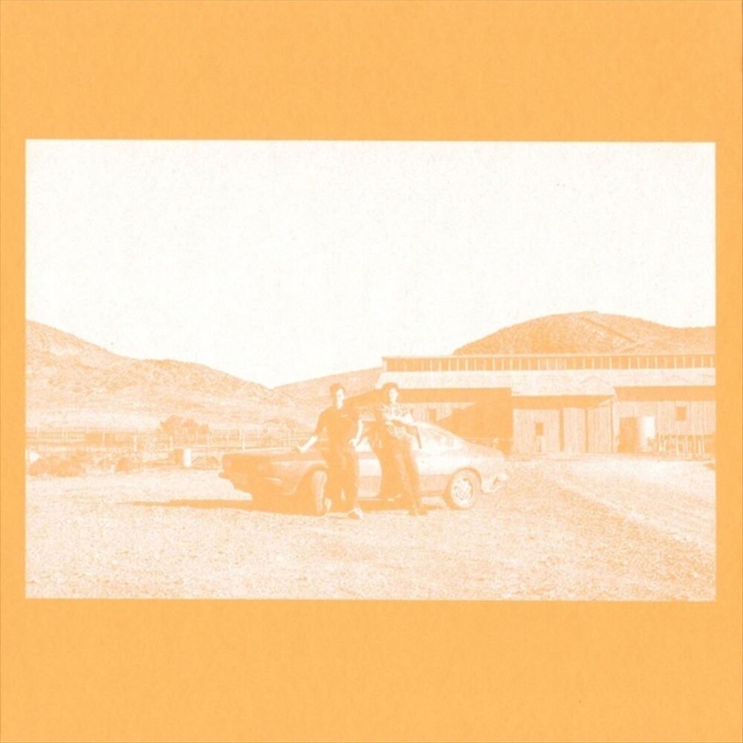 Frenzied Bricks cover art