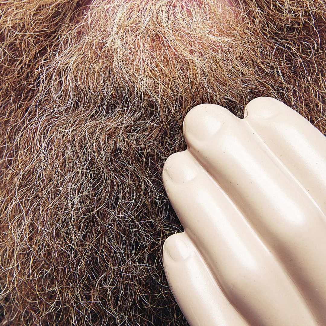 Touch and Flee [Brown Vinyl] cover art