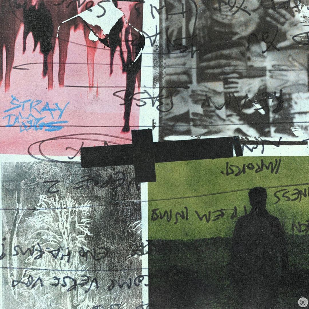 Stray Dogs cover art