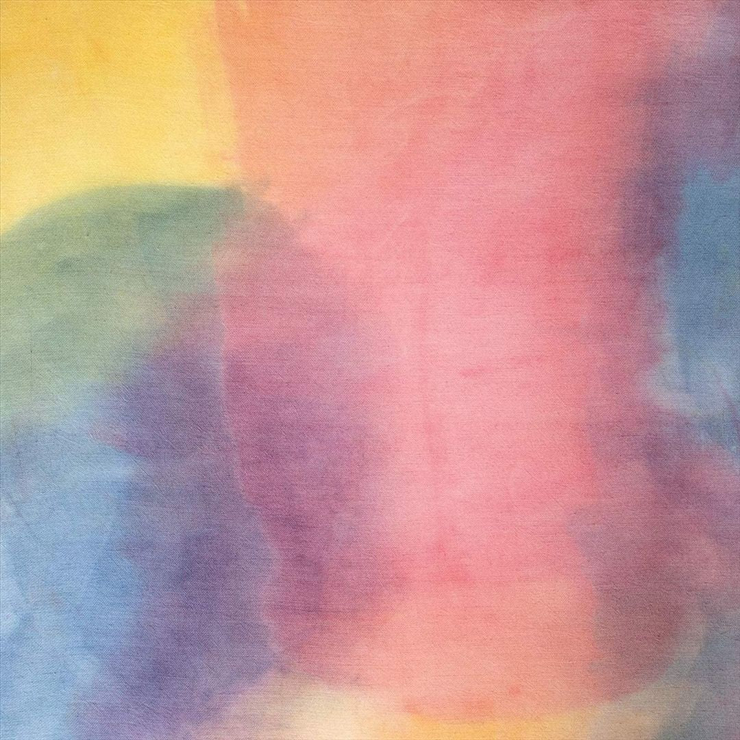 Weight of the Sun [Love Record Stores Edition] cover art