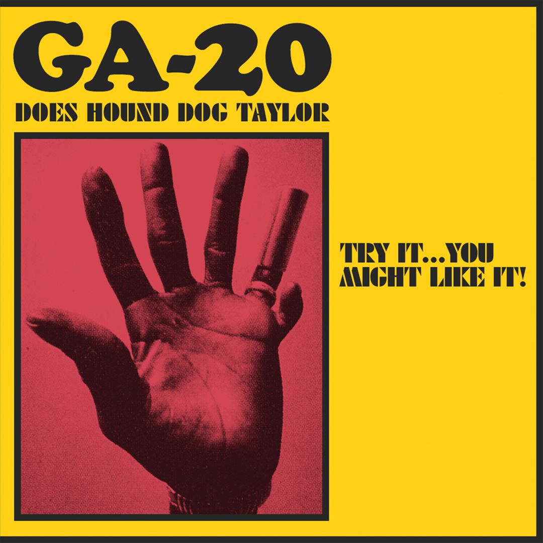 Try It... You Might Like It! GA-20 Does Hound Dog Taylor cover art