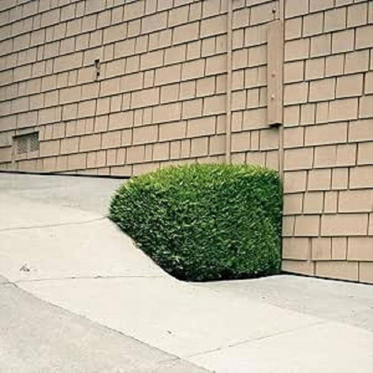 Soft Power cover art