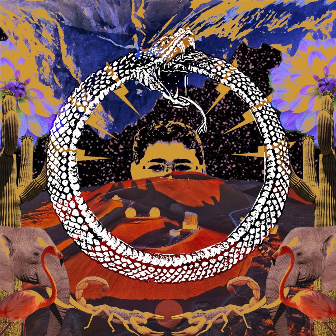 Neverending Cycle [Red Vinyl] cover art