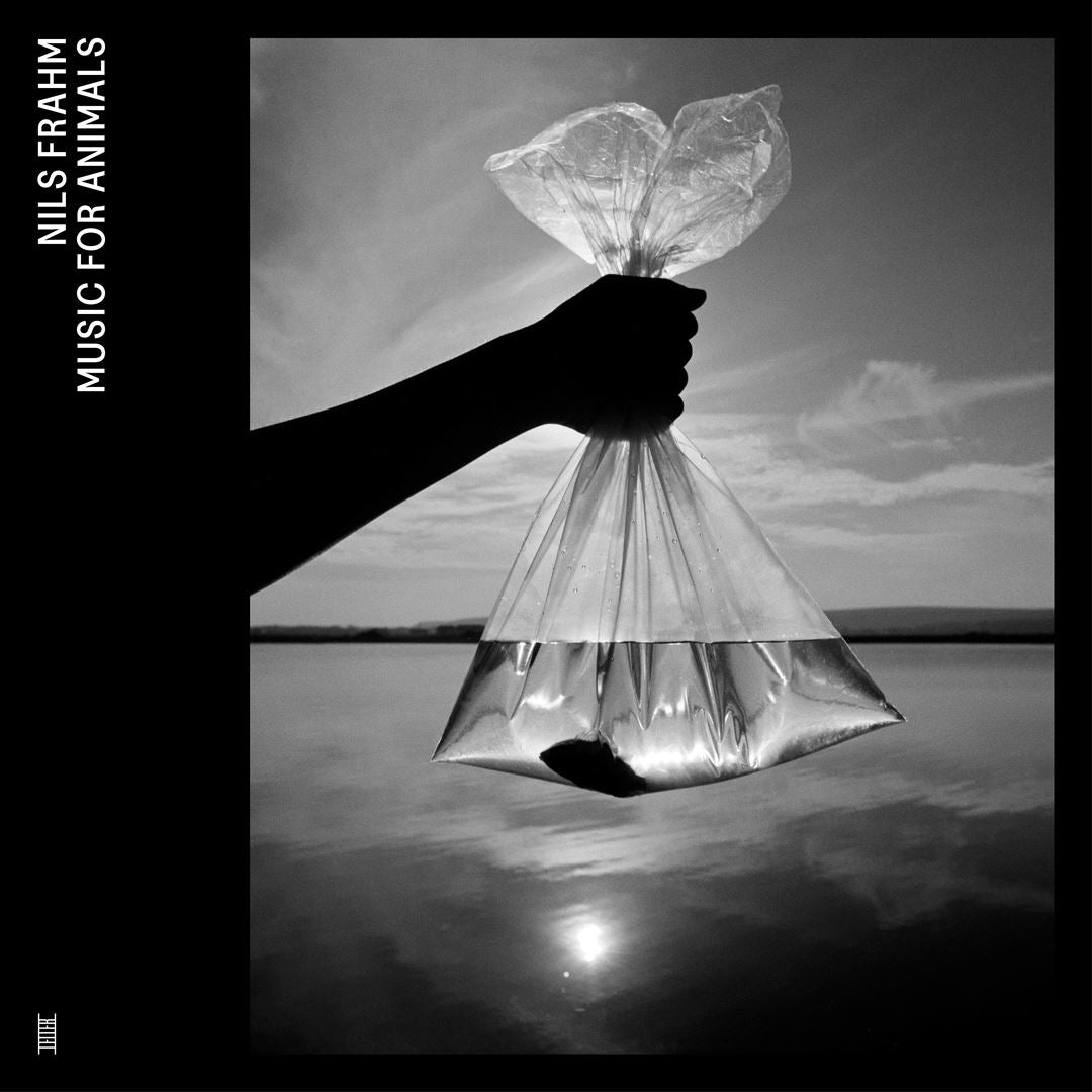 Music for Animals cover art