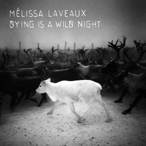 Dying is a Wild Night cover art