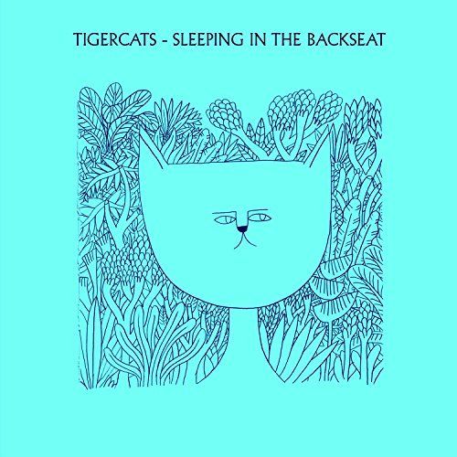 Sleeping in the Backseat cover art