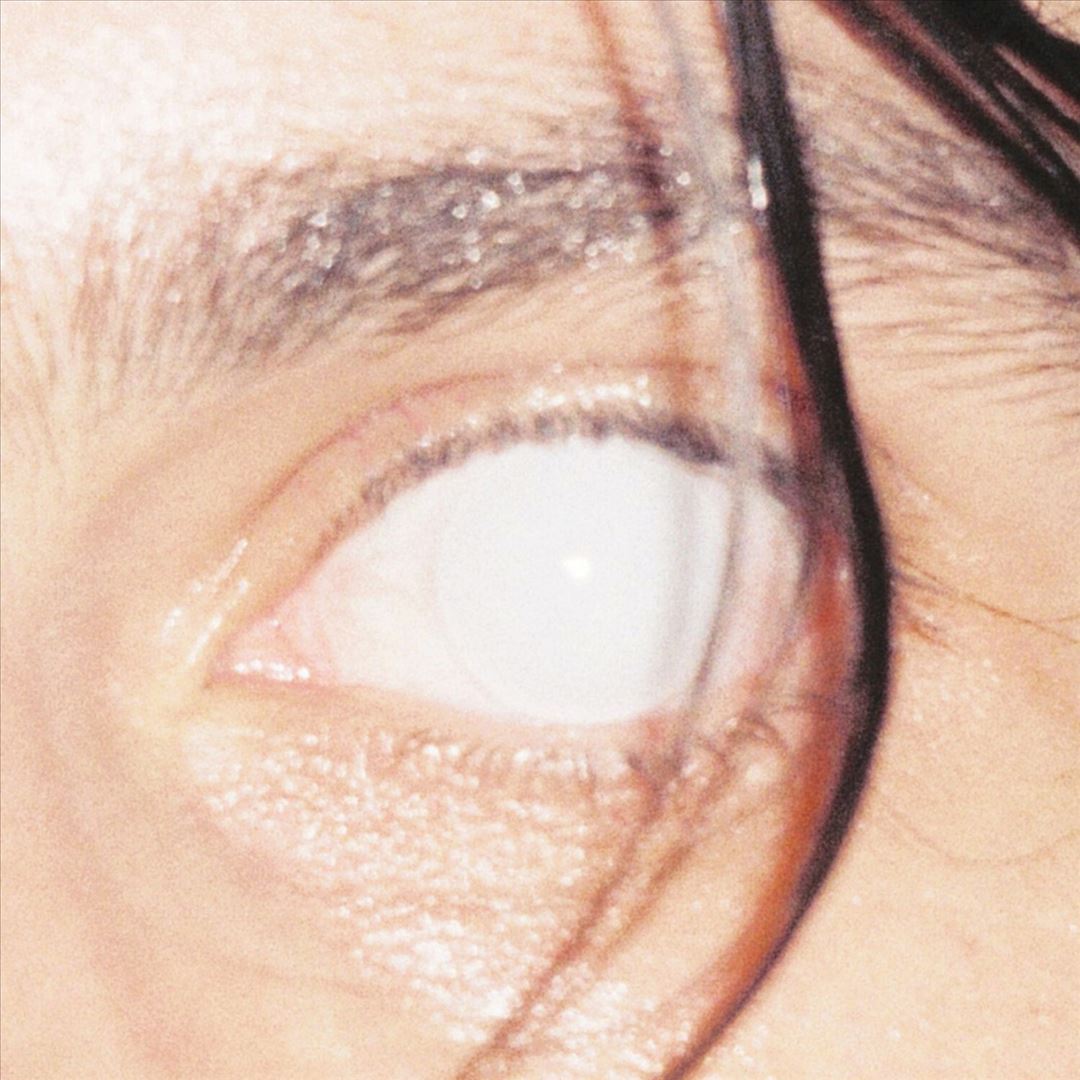 Trust cover art