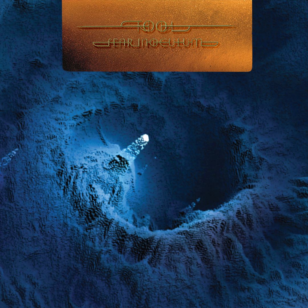 Fear Inoculum [Limited Edition] [180-gram 5LP] [Box Set] cover art
