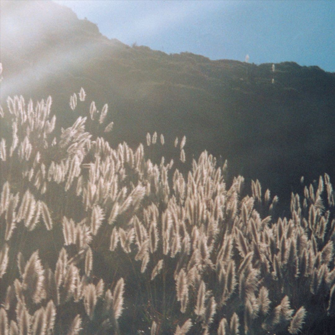 Great Orthochromatic Wheel cover art