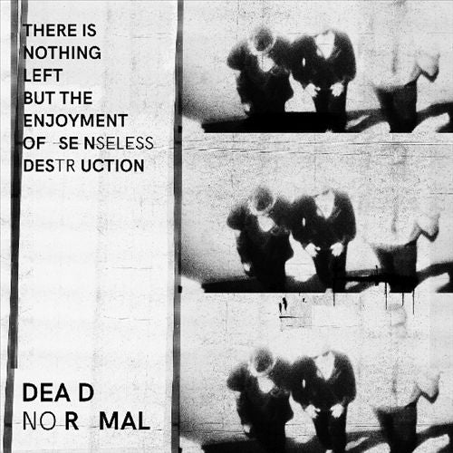 There Is Nothing Left But The Enjoyment Of Senseless Destruction cover art