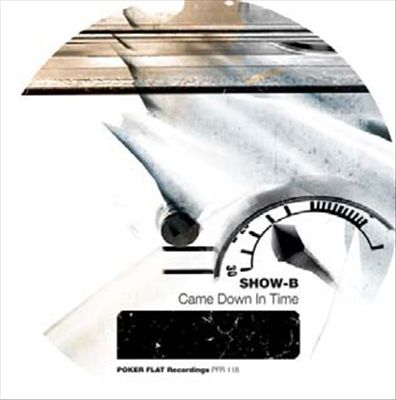 Came Down in Time cover art