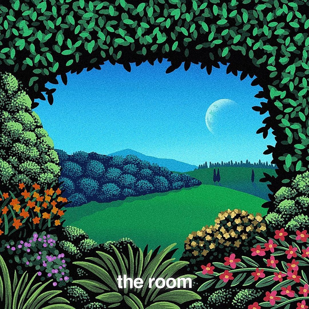 The Room [Turquoise Vinyl] cover art