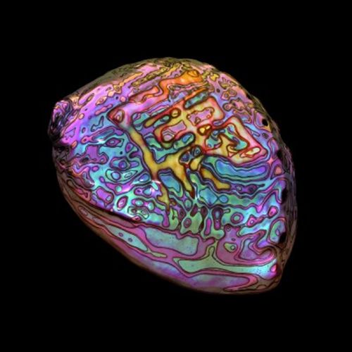 Belonging [Limited Edition] cover art